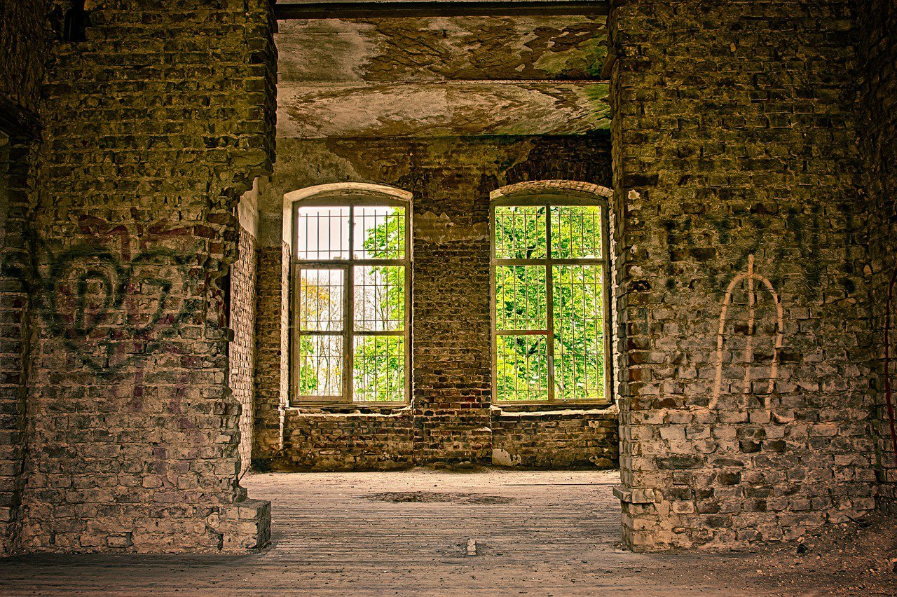 Forgotten Grandeur: A Glimpse Through Timeworn Windows