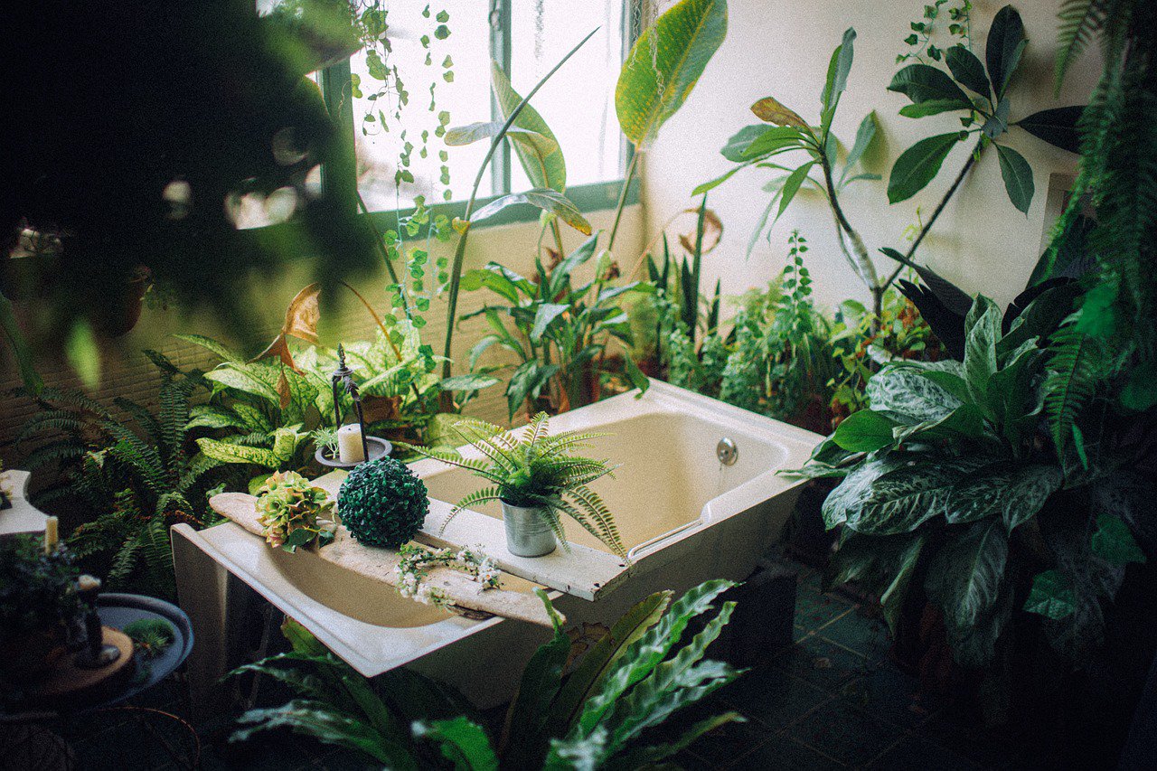 Bathtub Oasis: Where Lush Greenery Meets Tranquil Relaxation