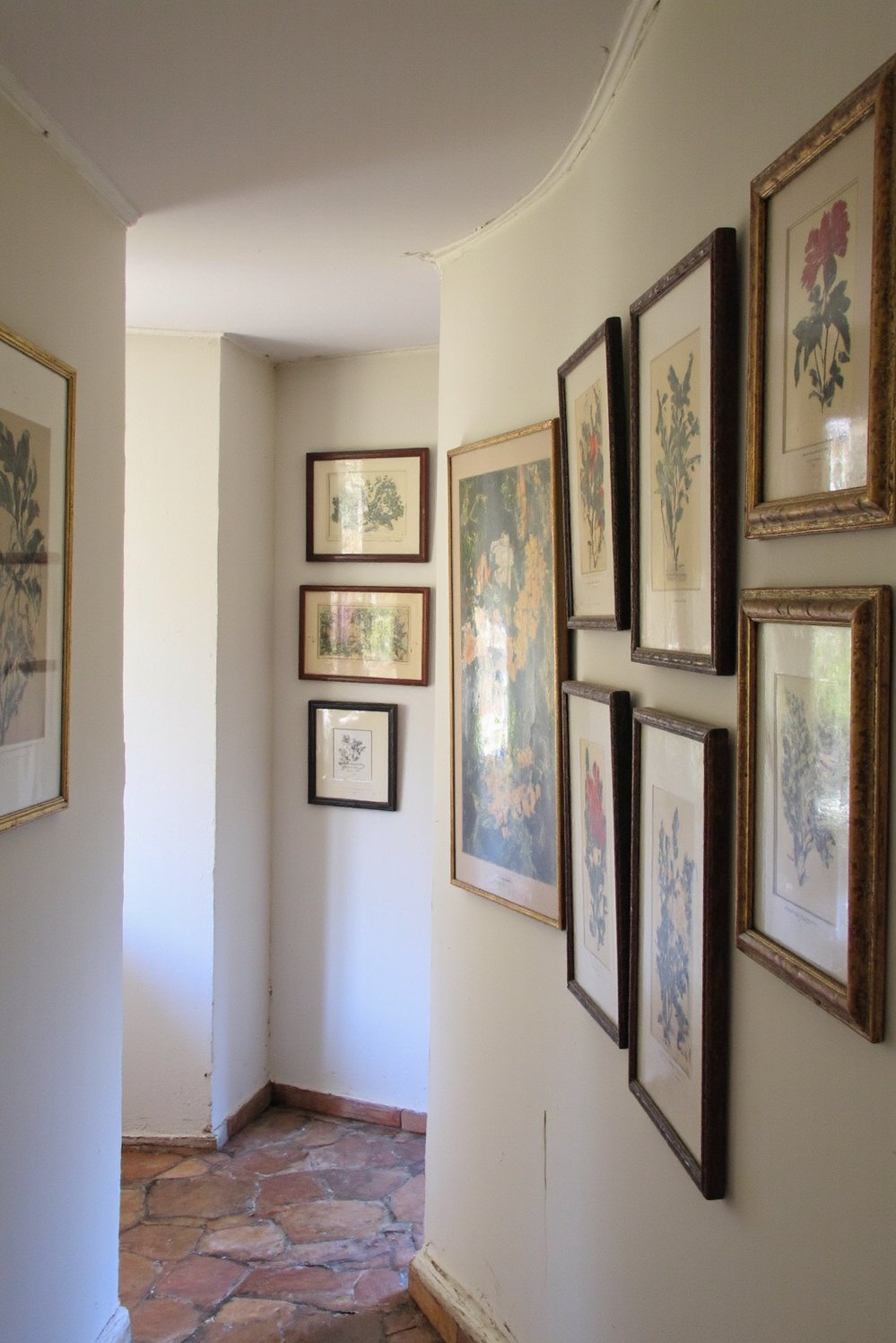 Narrow hallway decor ideas - Botanical Prints: Decorating a Long Narrow Hallway - Transform a long, narrow hallway into an art...