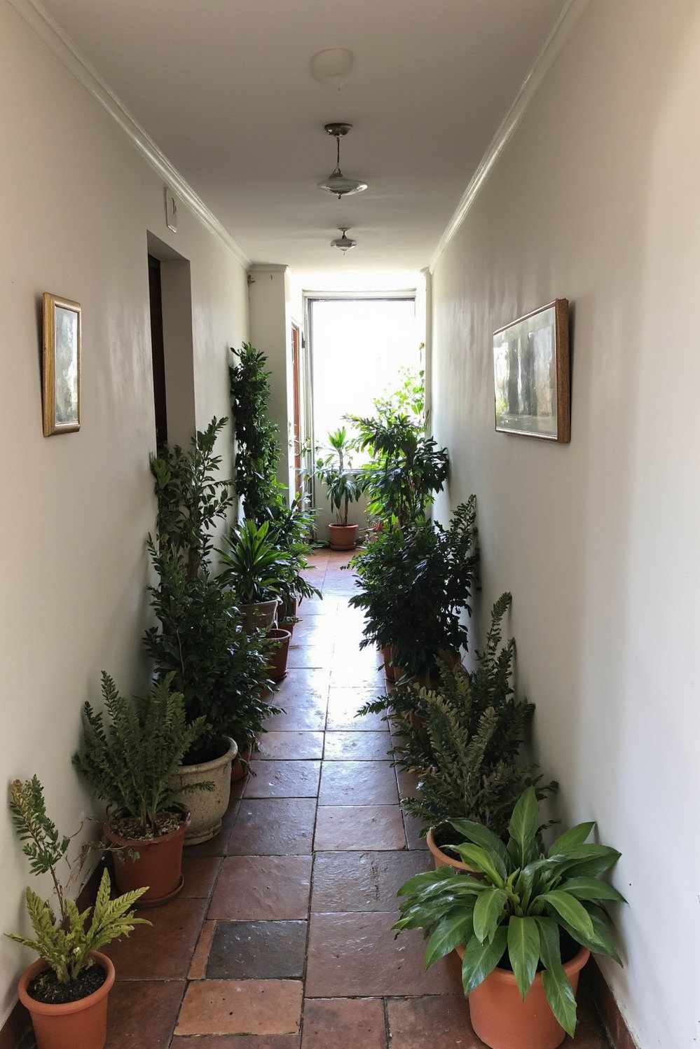 Narrow hallway decor ideas - Brighten a Dark Hallway: Greenery & Plants - Brighten a dark, narrow hallway with plants! I...