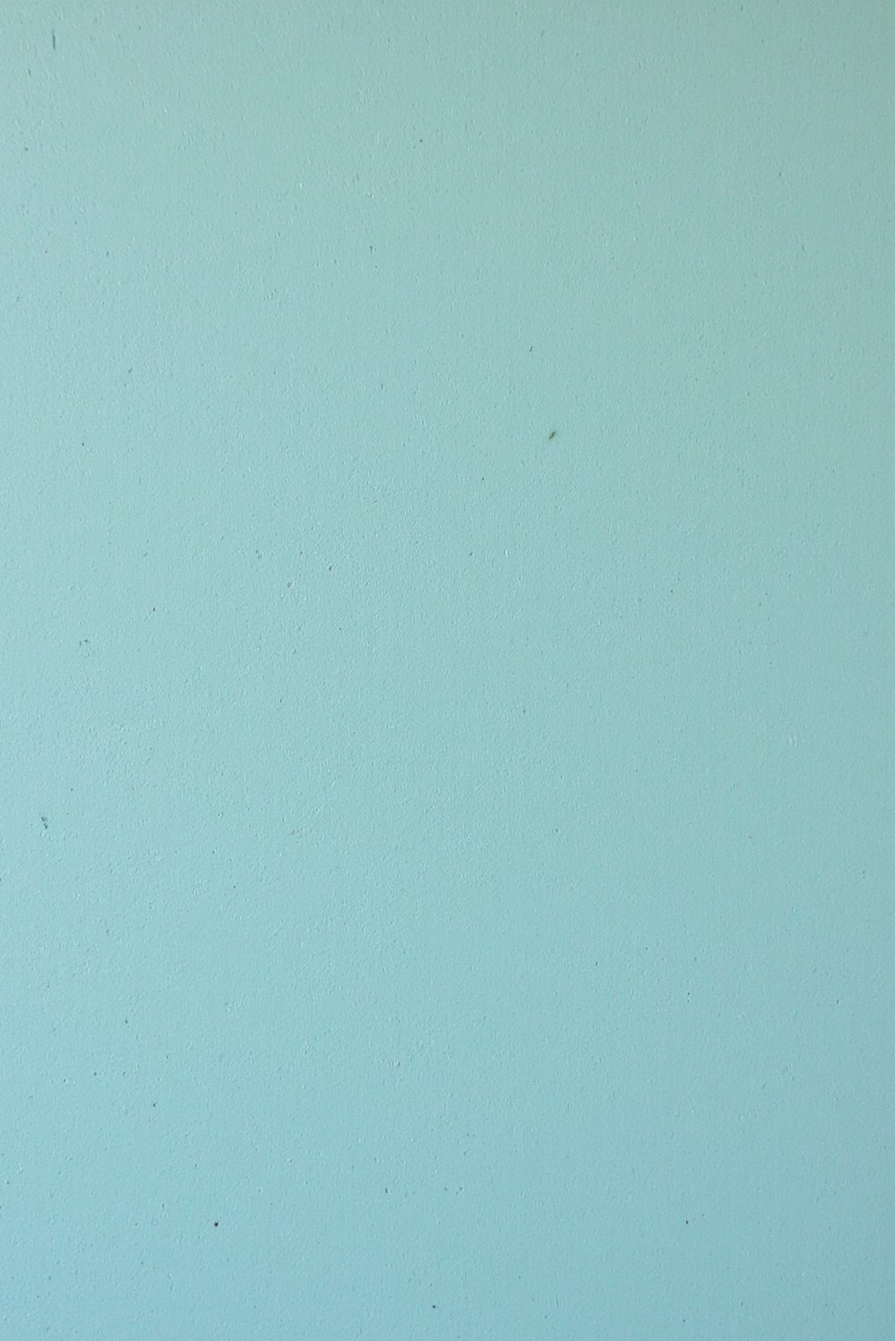 Modern Farmhouse Color Palette - Textured Modern Farmhouse Paint Colors: Wall Detail - This close-up shows the beautiful texture of modern...