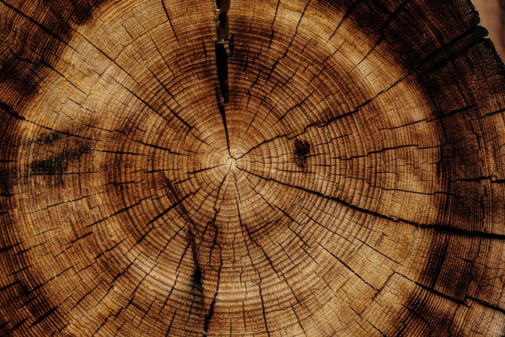 reclaimed wood as source of sustainable design