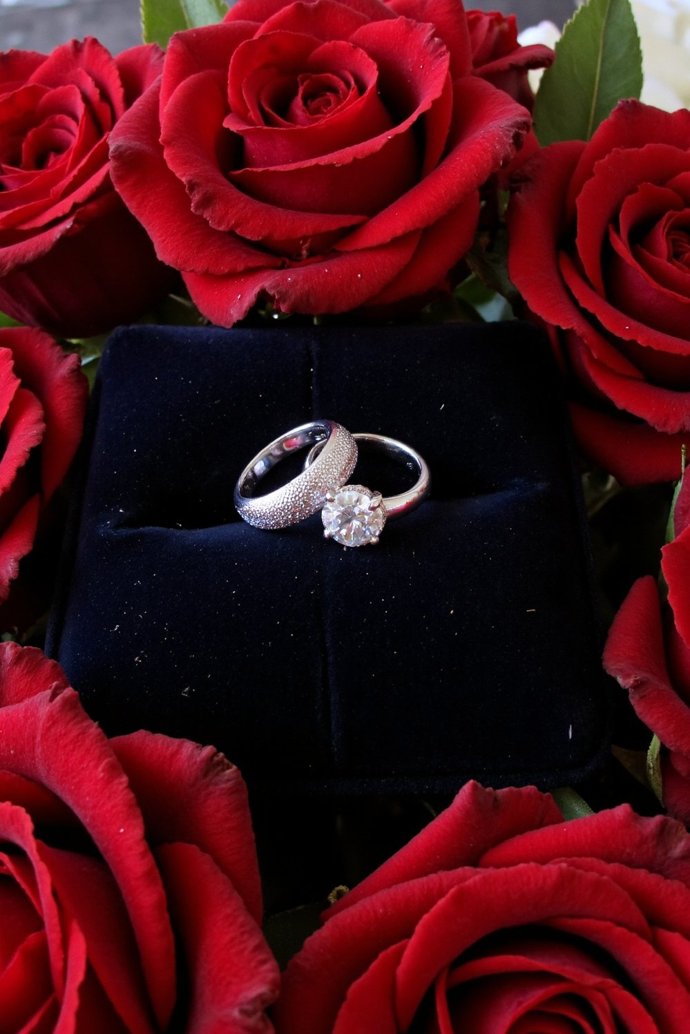 Moody Romantic Wedding Decor - Dark Wedding Rings: Velvet & Crimson Roses - Dark wedding details: wedding rings on a dark...