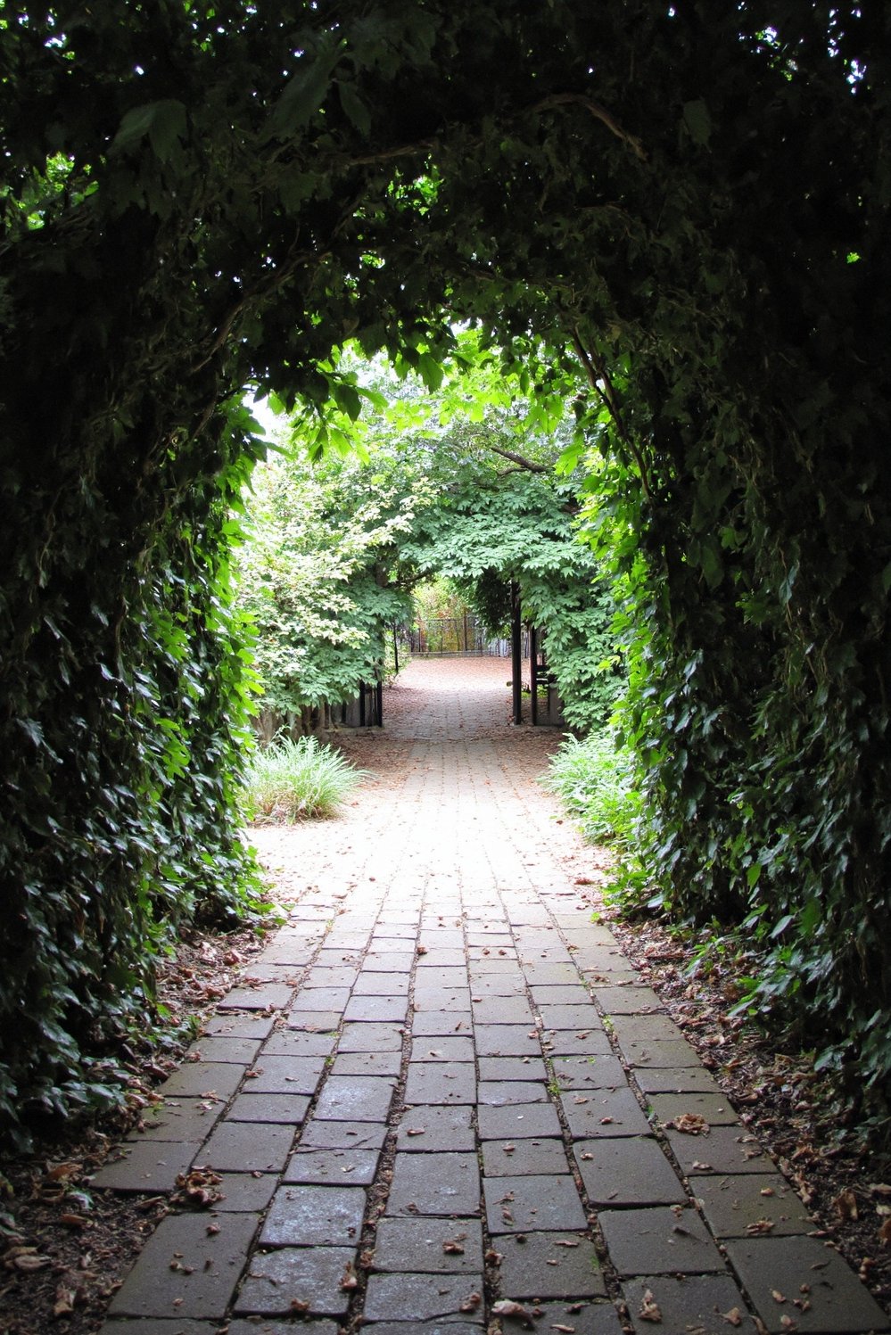 Moody Romantic Wedding Decor - Dark Romantic Wedding: Ivy-Draped Garden Path - Dark romantic wedding inspiration: A secluded garden path,...