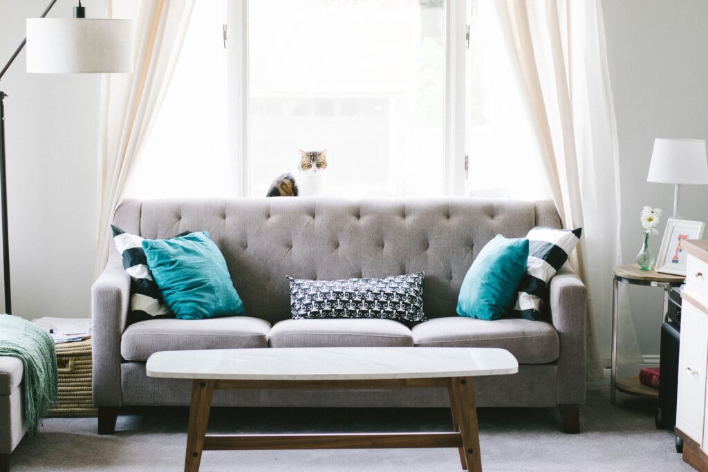 cozy living room