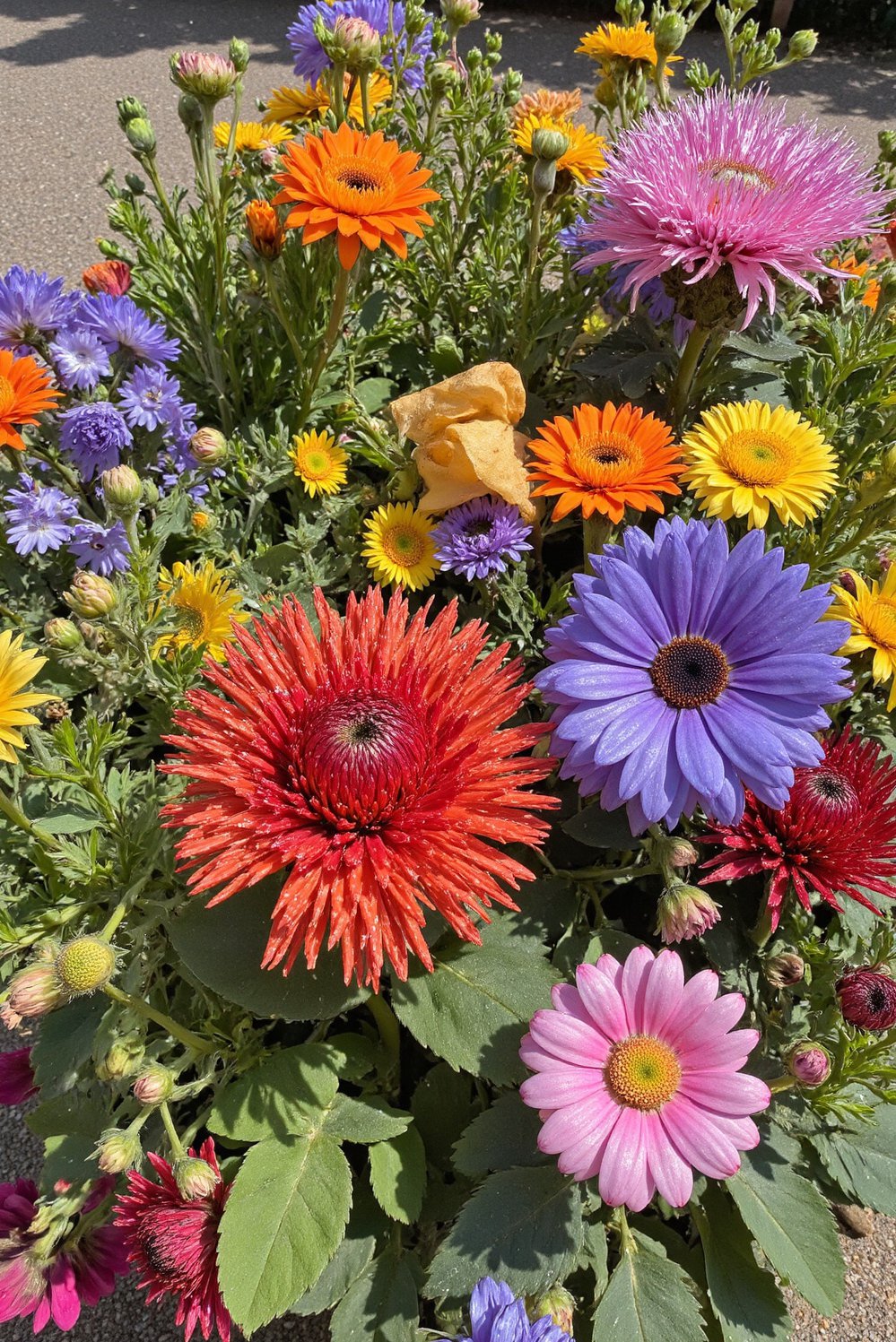 chaos gardening ideas - Beautiful Chaos Flower Garden: Imperfect Order Blooms - This photo shows a deliberately messy, yet gorgeous,...