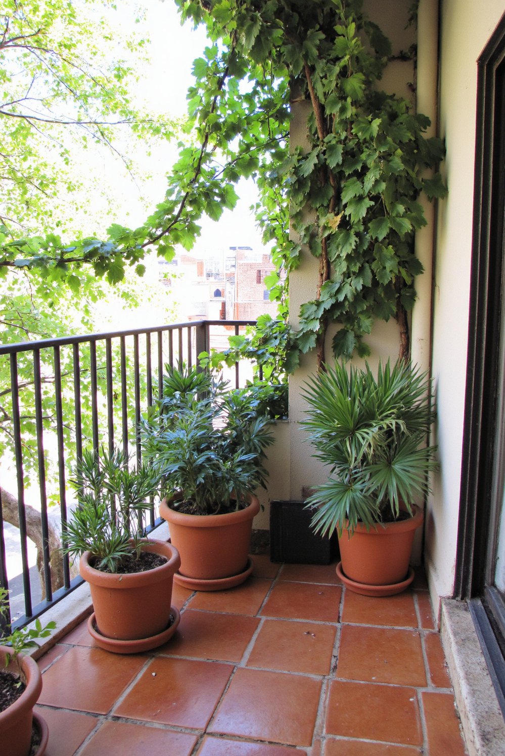 Balcony flooring ideas - Terracotta Balcony Flooring: A Mediterranean Balcony Makeover - Create a warm, Mediterranean-style balcony garden with terracotta...