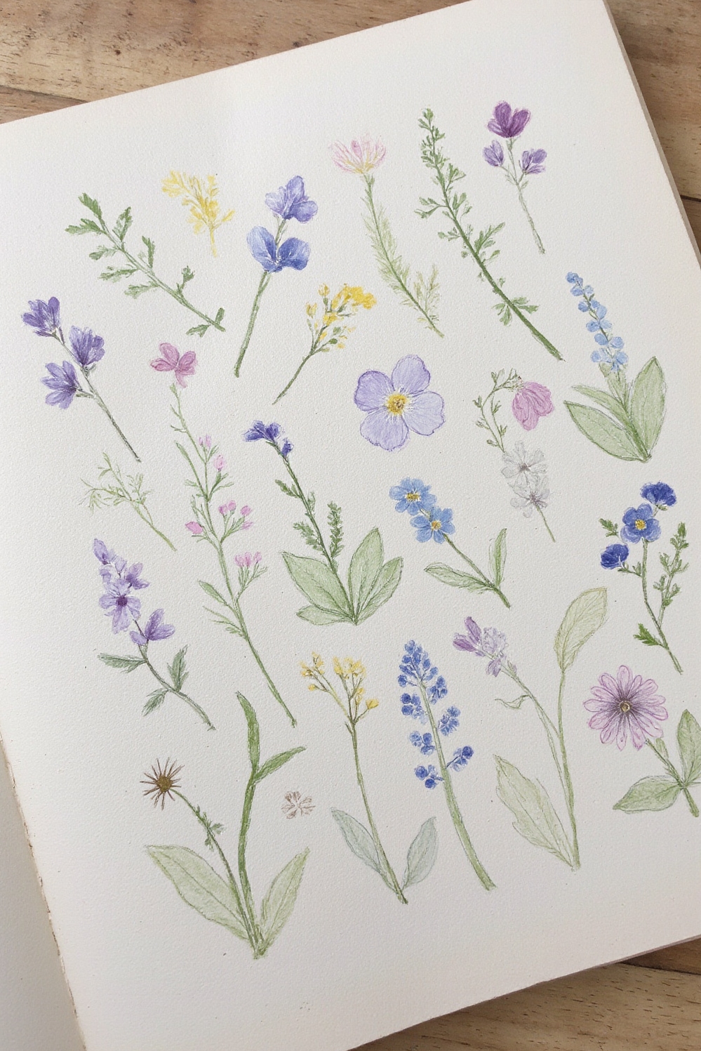 floral wallpaper ideas - Cottage Garden Sketchbook Walls - This wallpaper breathes life into your room with...